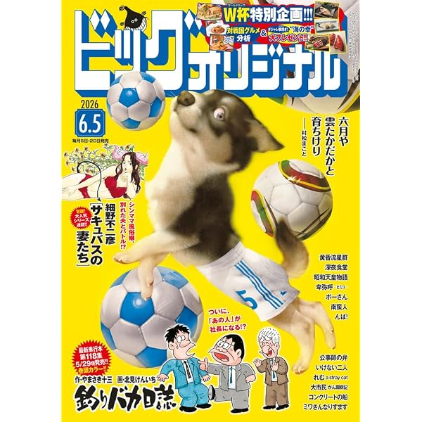 Amazon.co.jp: ビッグコミックスピリッツ (24号) : 本